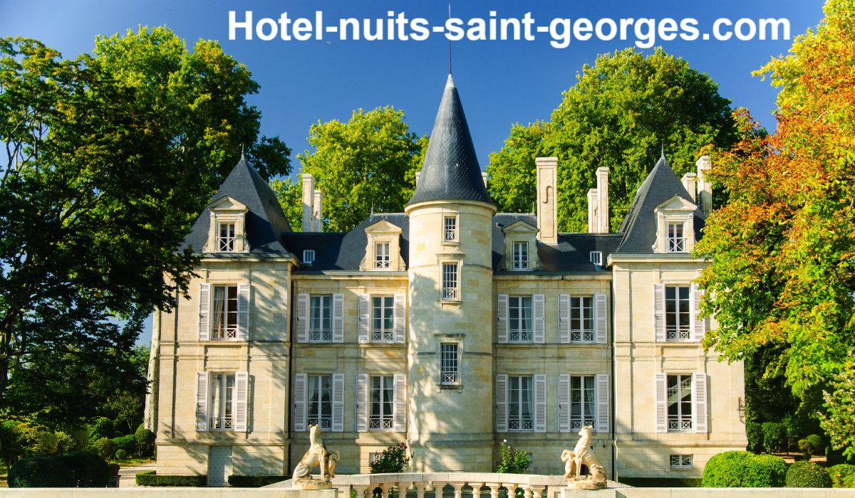 hotel-nuits-saint-georges.com